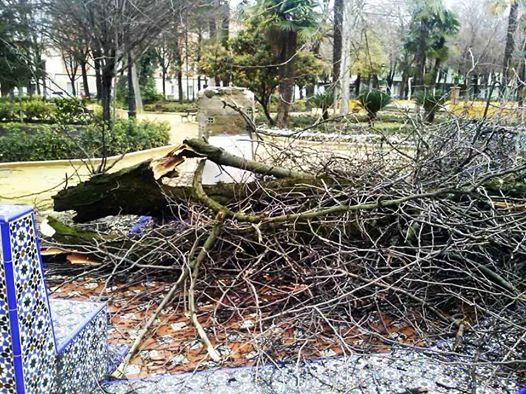 Efectos del vendaval en Cabra el 3 de febrero de 2017.